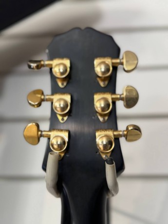 Epiphone Les Paul 100