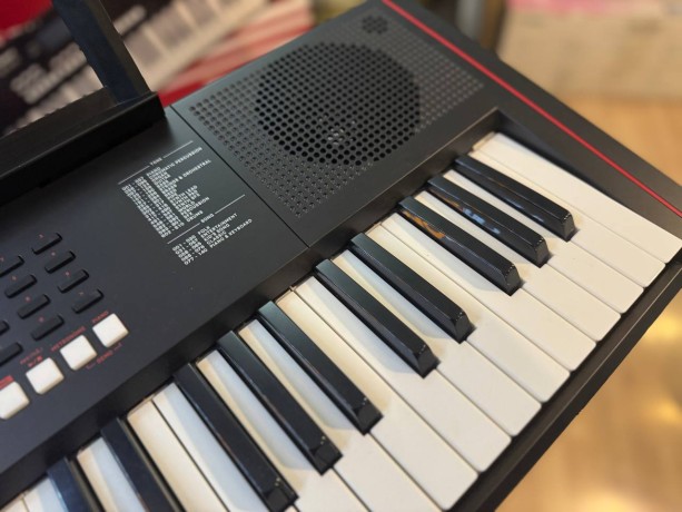 Roland E-X10