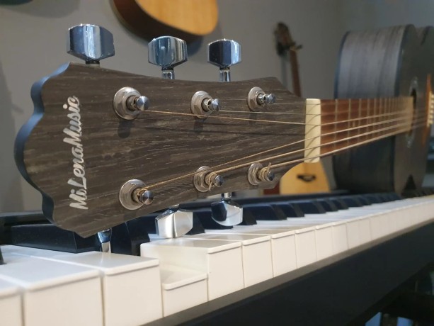 Milena Music Ml-F3 Ap/Eq