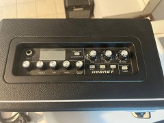 Mooer Hornet 15